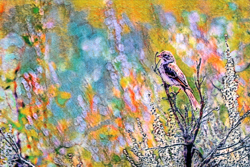 Willow Preserve, Dillon Reservoir, CO