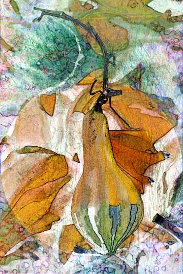 Gourds