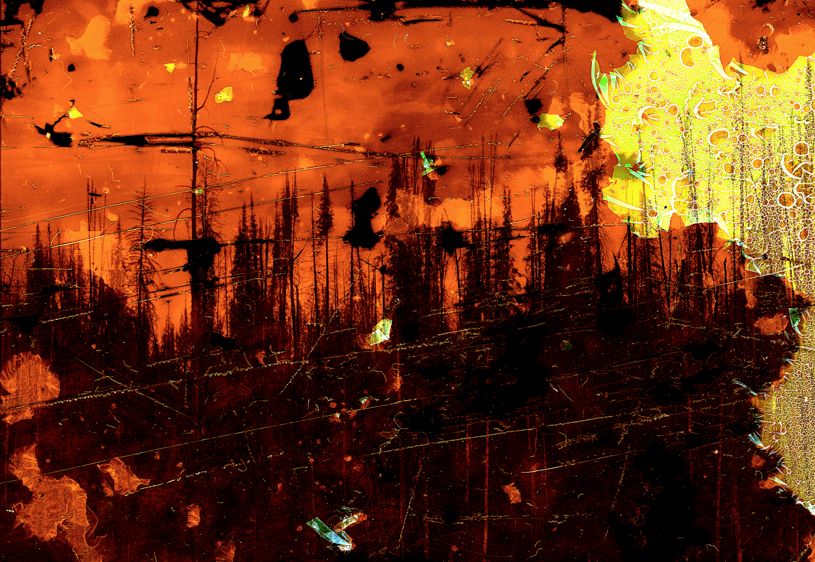 Williams Fork WIldfire Burn Scar #4, Arapaho National Forest, CO