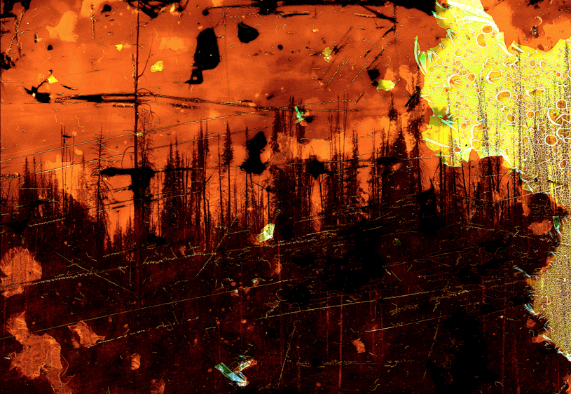 Williams Fork WIldfire Burn Scar #4, Arapaho National Forest, CO