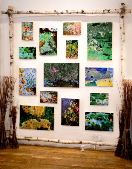 High Creek Fen Solo Exhibition