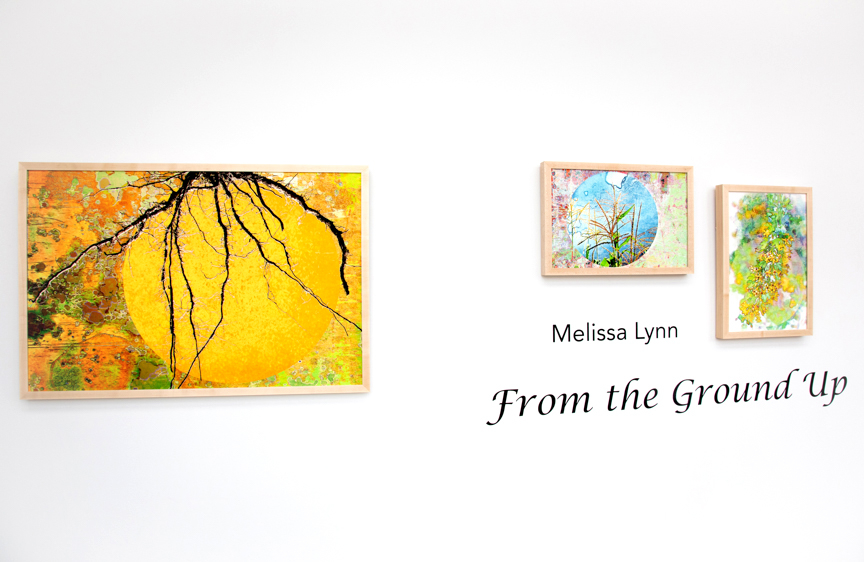 From the Ground Up Solo Exhibition