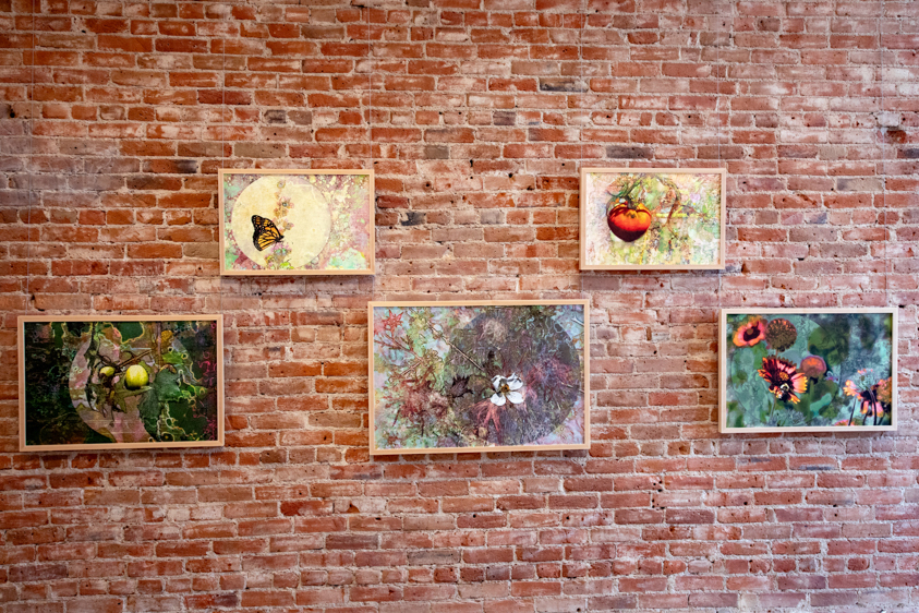 From the Ground Up Solo Exhibition