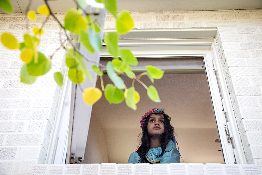 Safer-at-Home Order #19