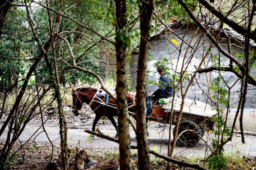Anhui Province, China,  Copyright Melissa Lynn 2019 Chinese Worker 3