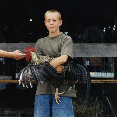 "Bard Phoenix" Delaware County Fair 2001