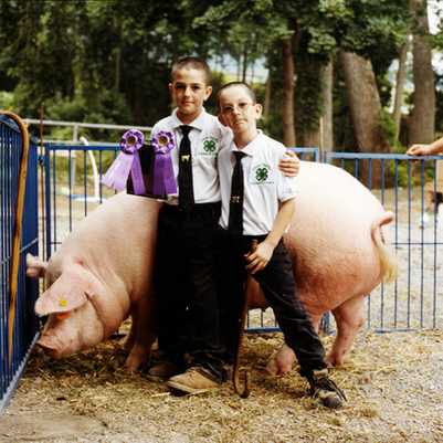 "Brothers" Schoharie County Sunshine Fair 2003