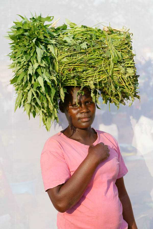 Selling sweet potato vines