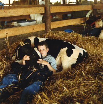 "Cuddling" Delaware County Fair