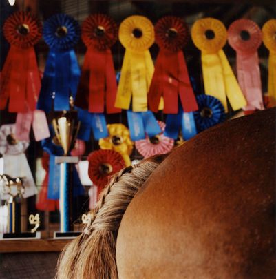 "Draft Horse" Delaware County Fair