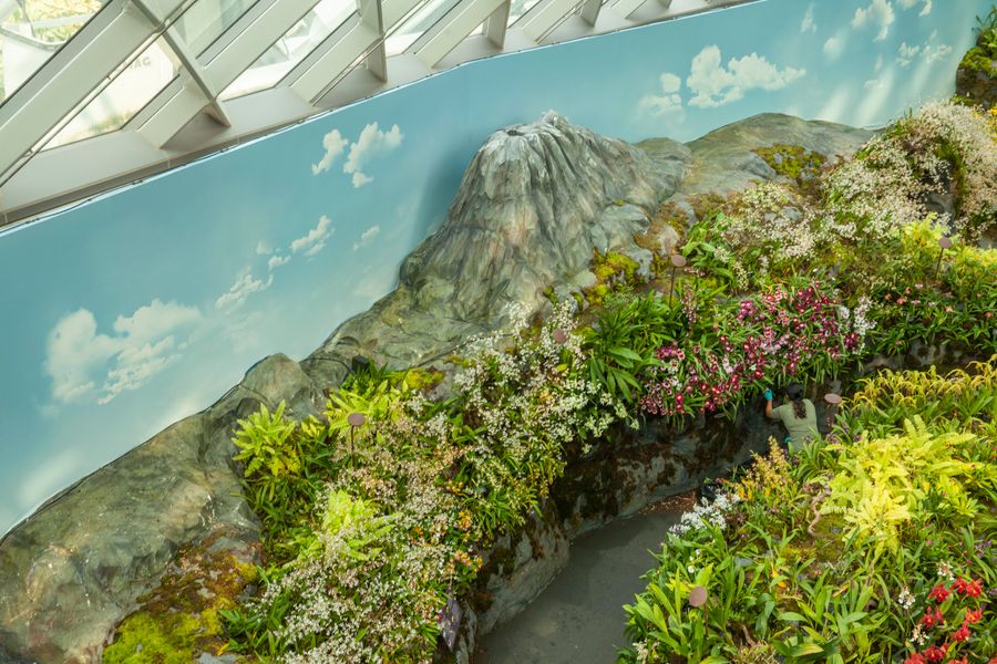 Gardner: Botanic Gardens: Singapore
