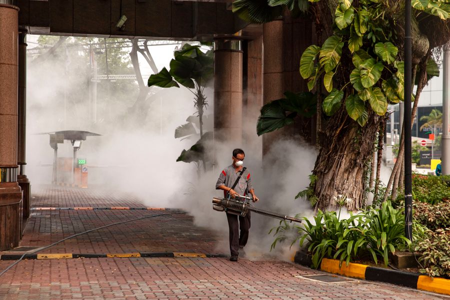 Exterminator: Singapore
