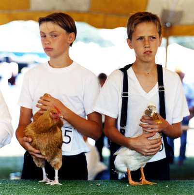 "Poultry Showmanship Competition" Delaware County Fair 2001