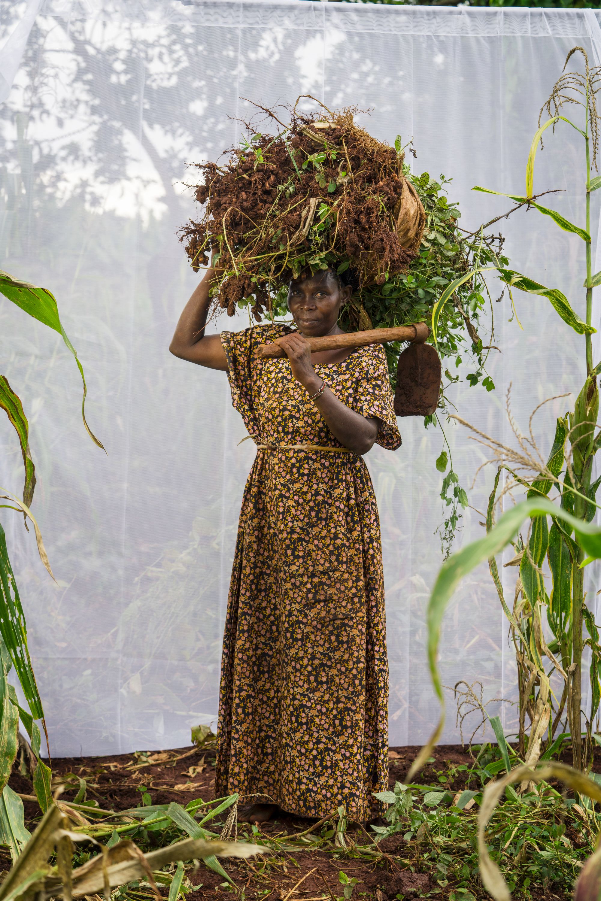 K. Mwajubu: Age 48. Ground nut and maiz farmer.