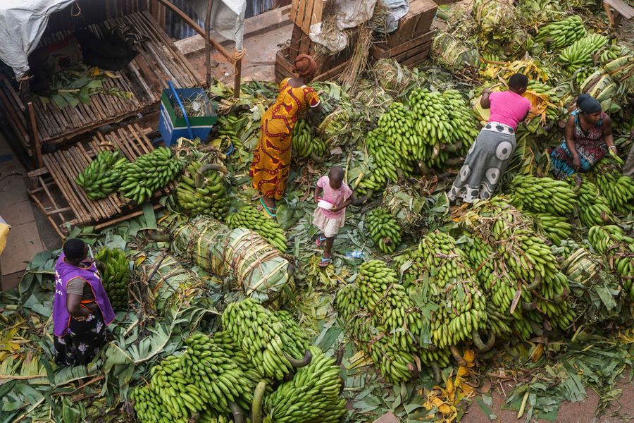 Banana Wholesellers: Gulu, Uganda