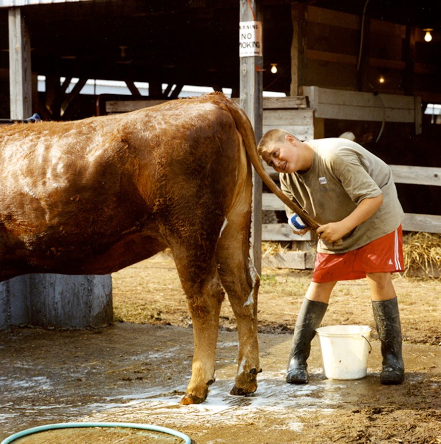 "Keeping It Clean" Delaware County Fair
