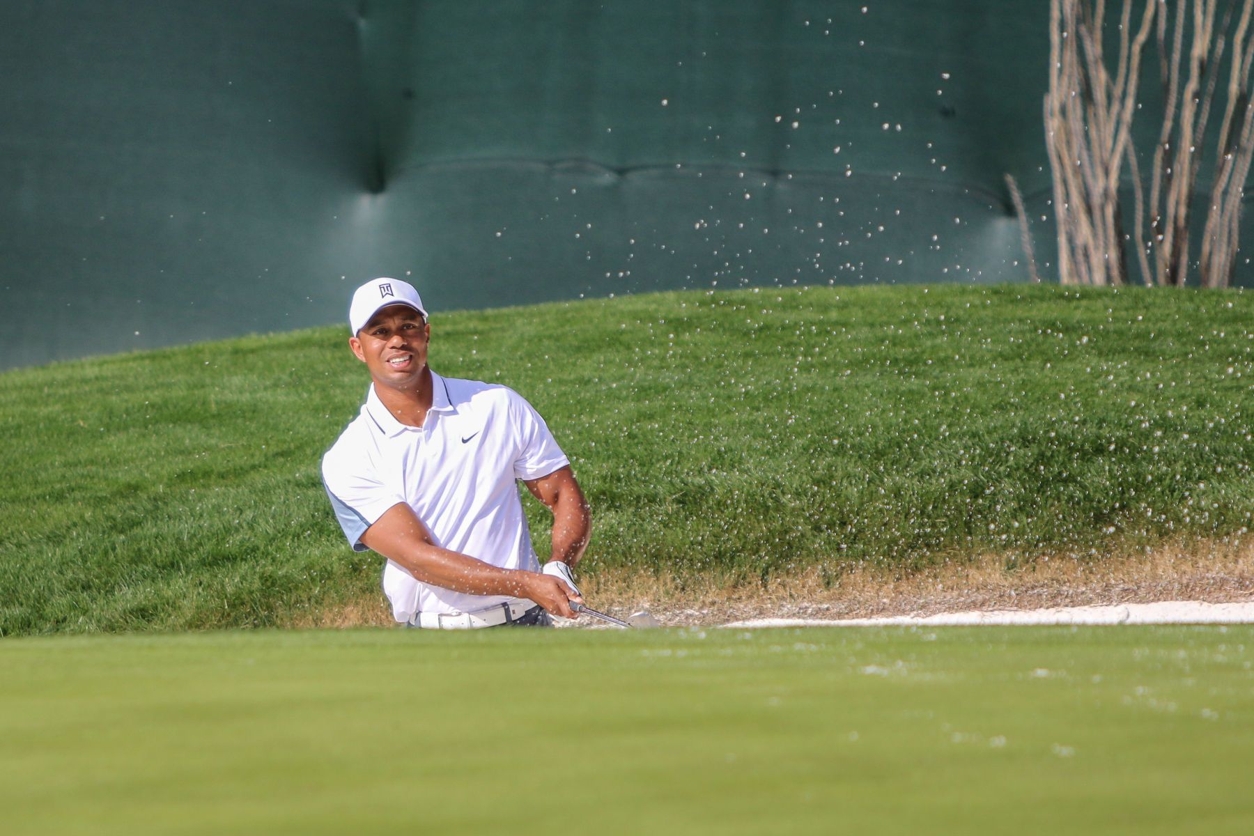 Tiger Woods Waste Management Open 2015