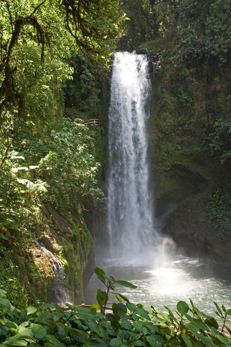 Costa Rican Waterfall