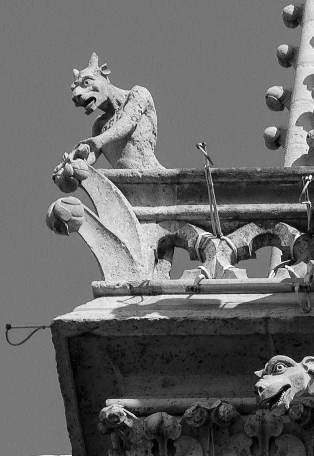 One of many gargoyles that peer out from Notre Dame Cathedral in Paris, France Gargoyle on Notre Dame