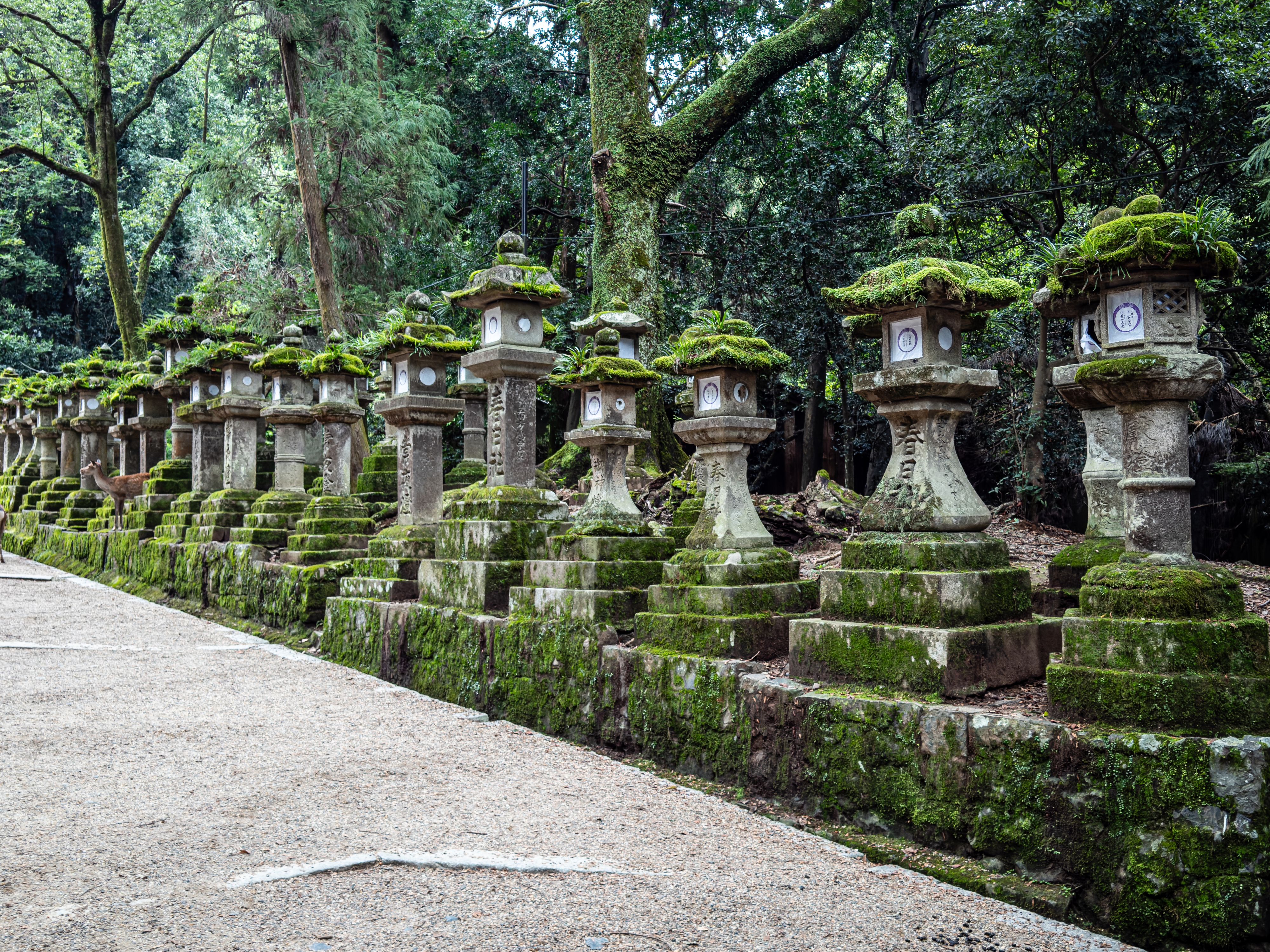 Shrine in Nara Japan Nara Shrine.jpg