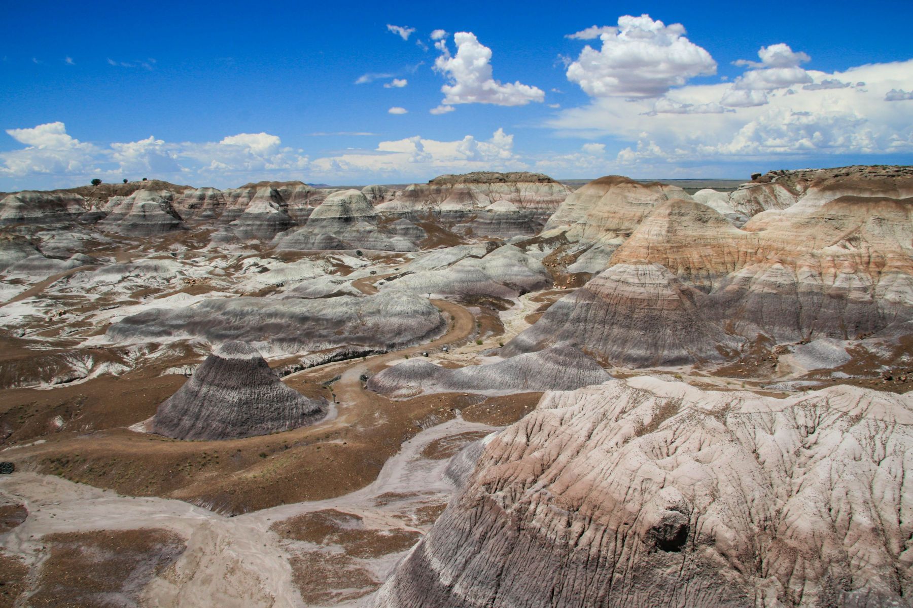 Petrified Forrest, Arizona