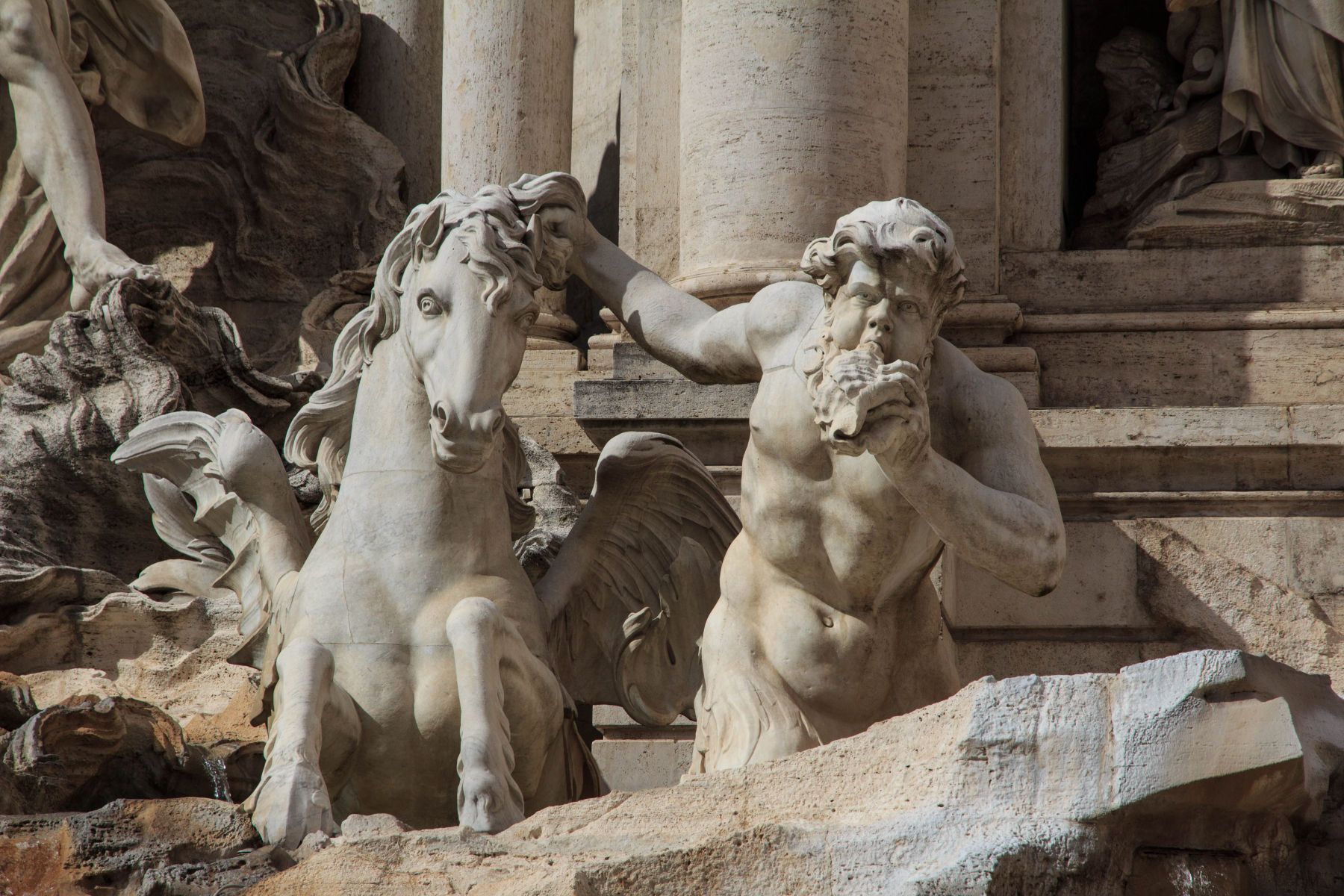 A Triton blowing a twisted shell to announce the passage of Ocean in the Trevi Fountain in Rome, Italy. Triton In Trevi Fountain
