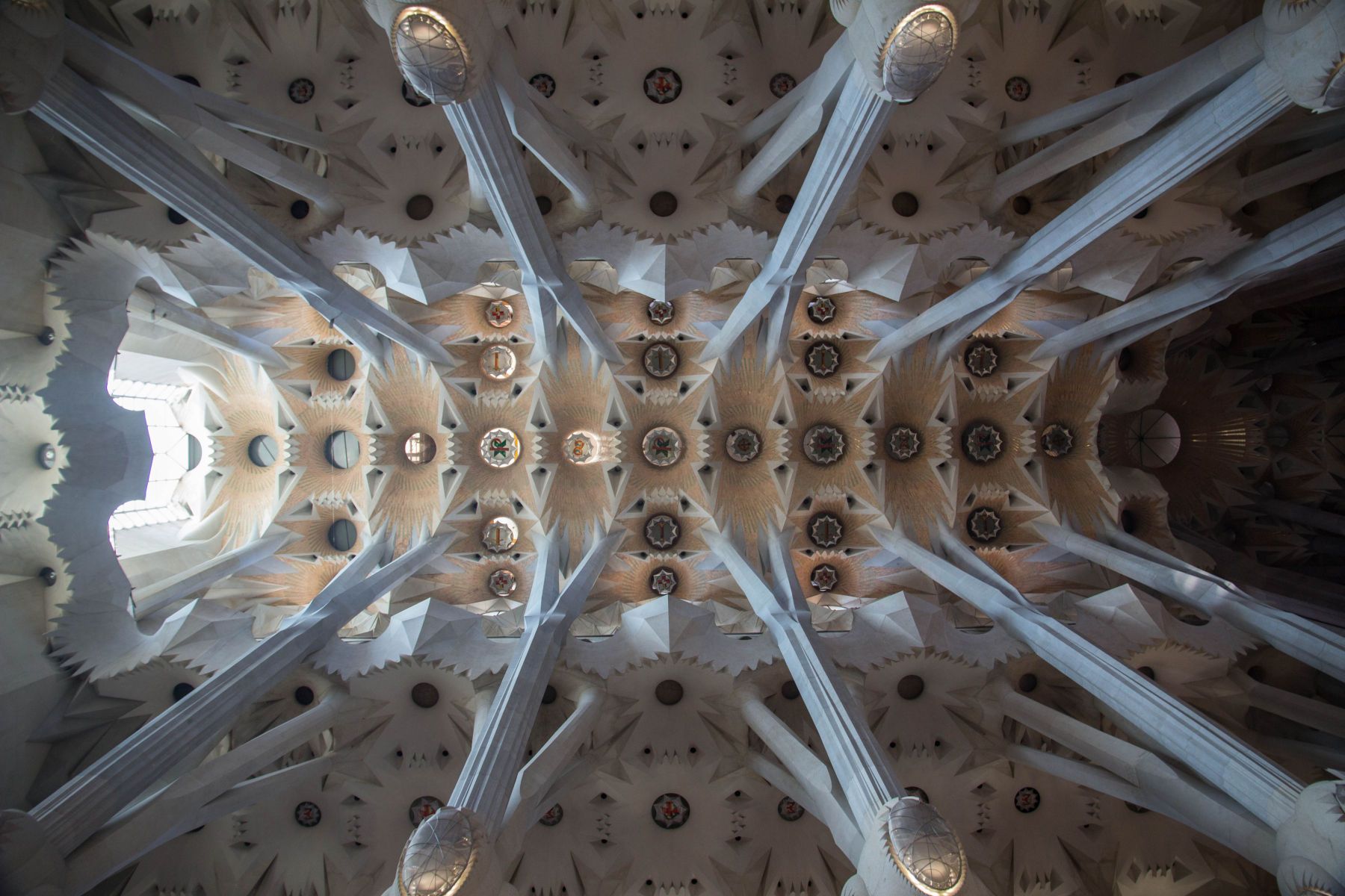 Sagrada Familia, is a large Roman Catholic church in Barcelona, Catalonia, Spain, designed by Catalan architect Antoni Gaudi. Ceiling of Sagrada Familia