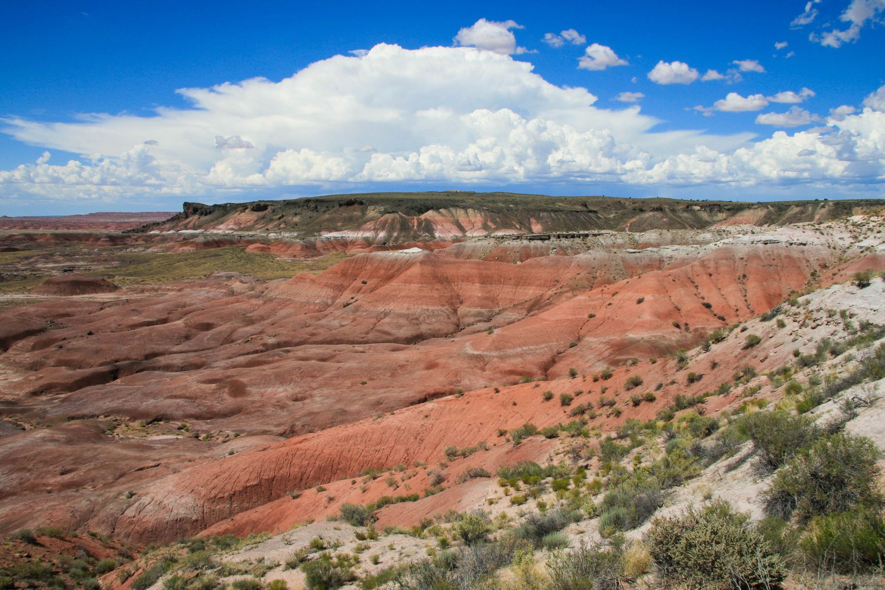 Petrified Forrest, Arizona
