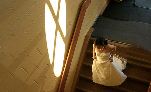 wedd 20902.PNG