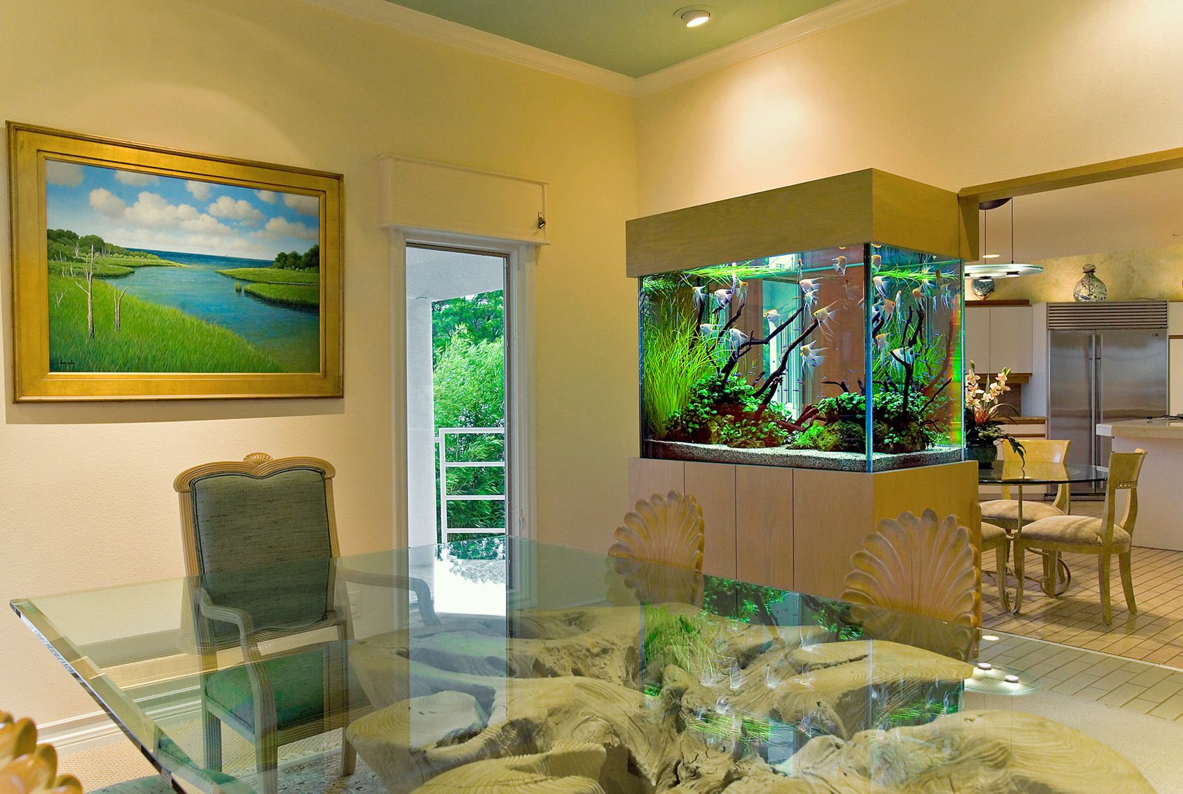 An Angelfish Live Planted Aquarium and Interior