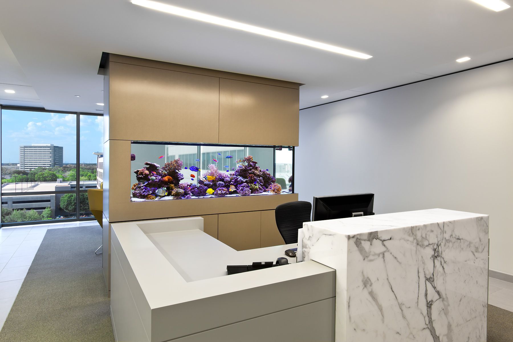 A Custom Reef Aquarium in a Commercial Space