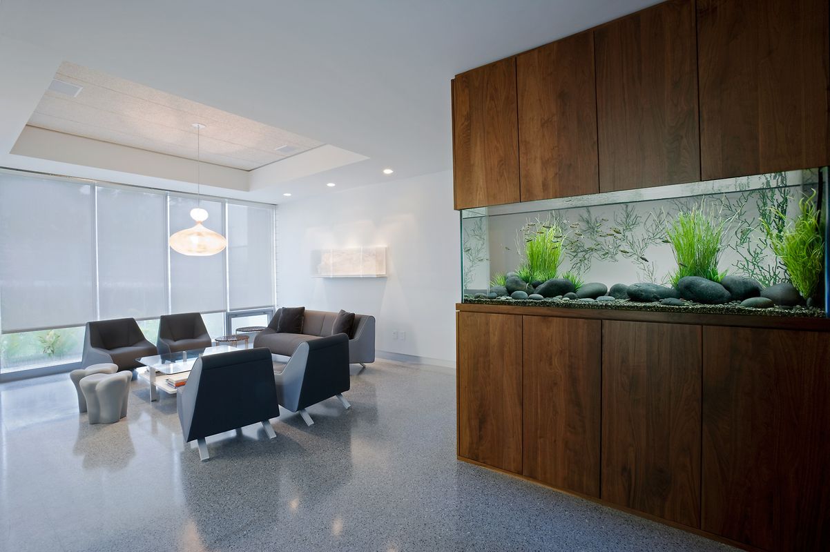 Aquarium Design Group, aquarium decoration 