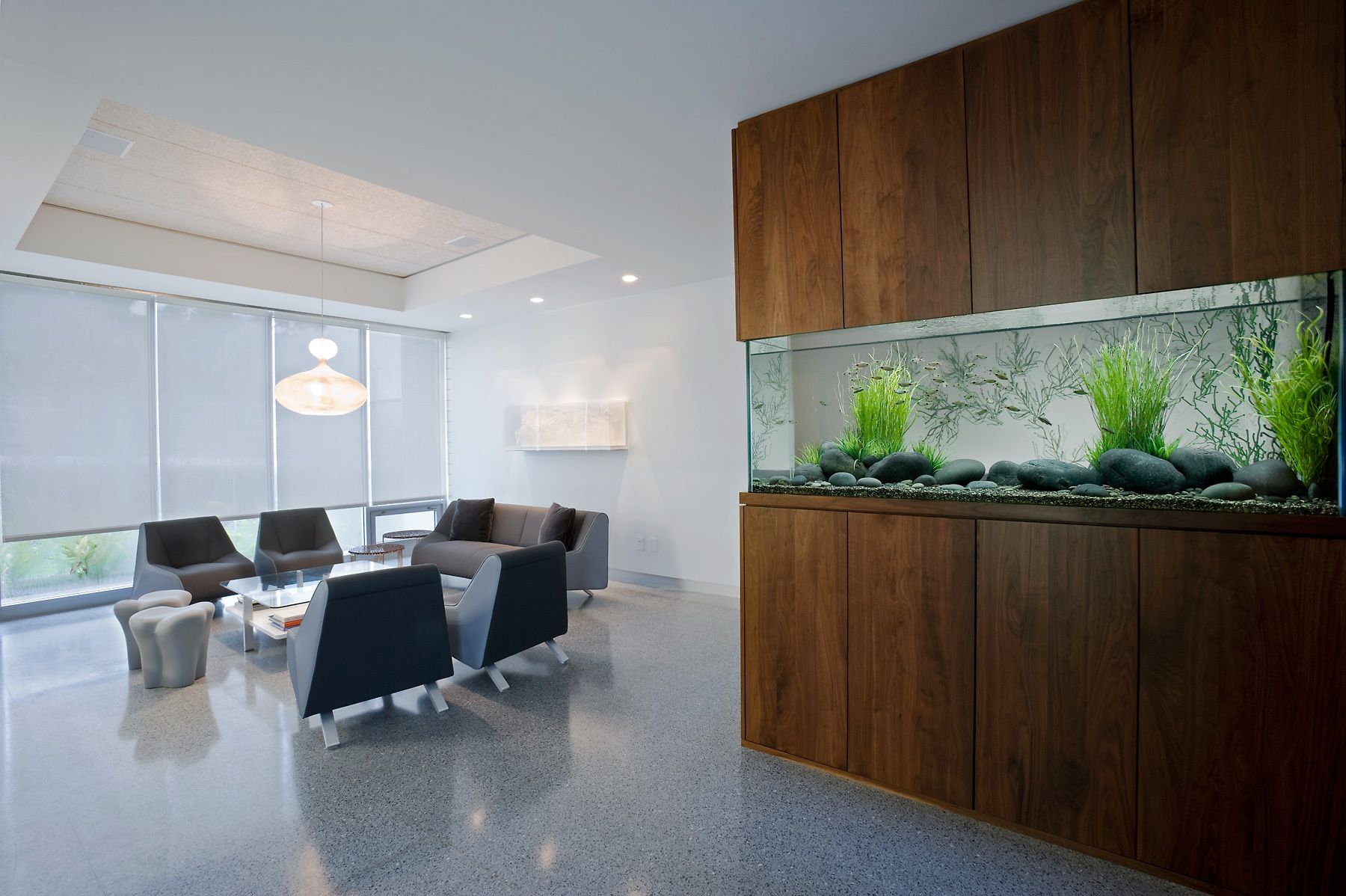 Freshwater Aquarium in a Modern Interior