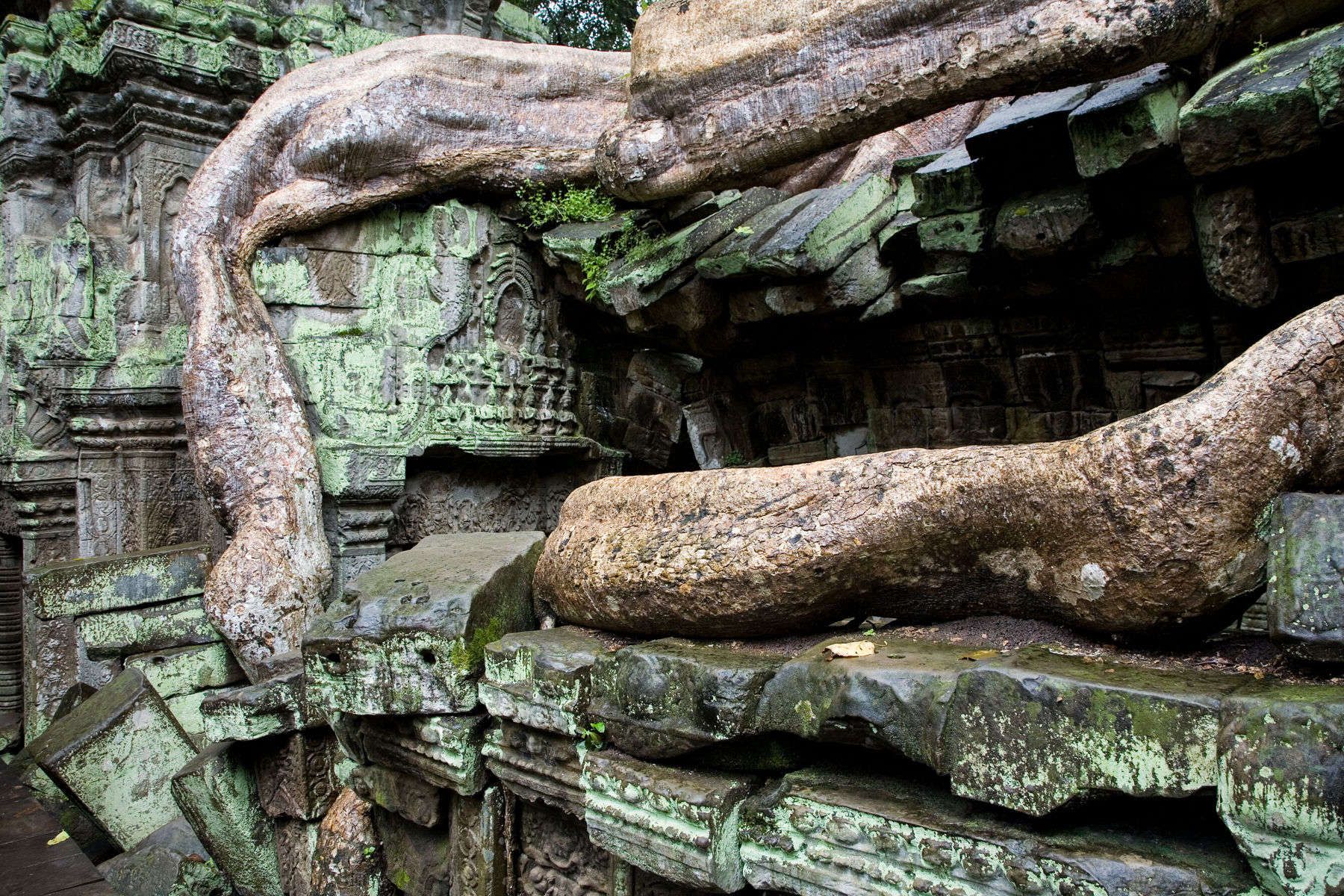 1whopkins_website_1010