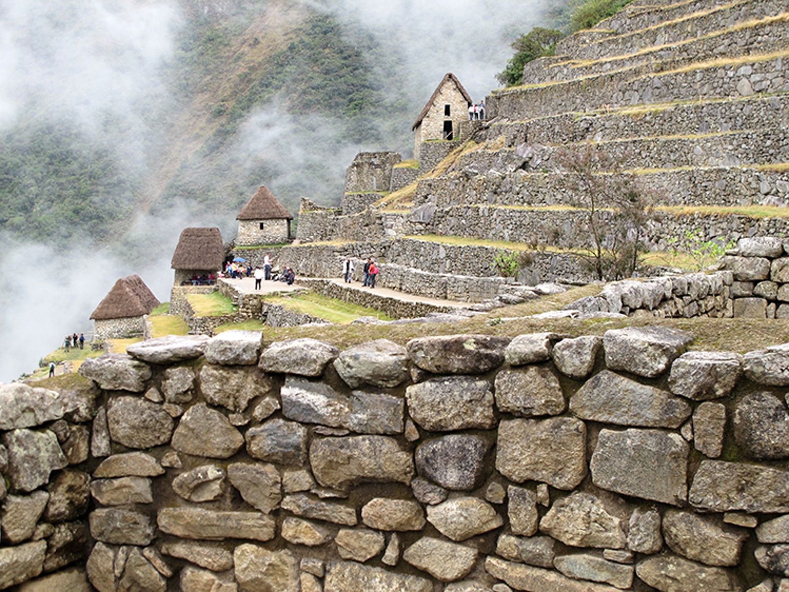 1whopkins_website__2