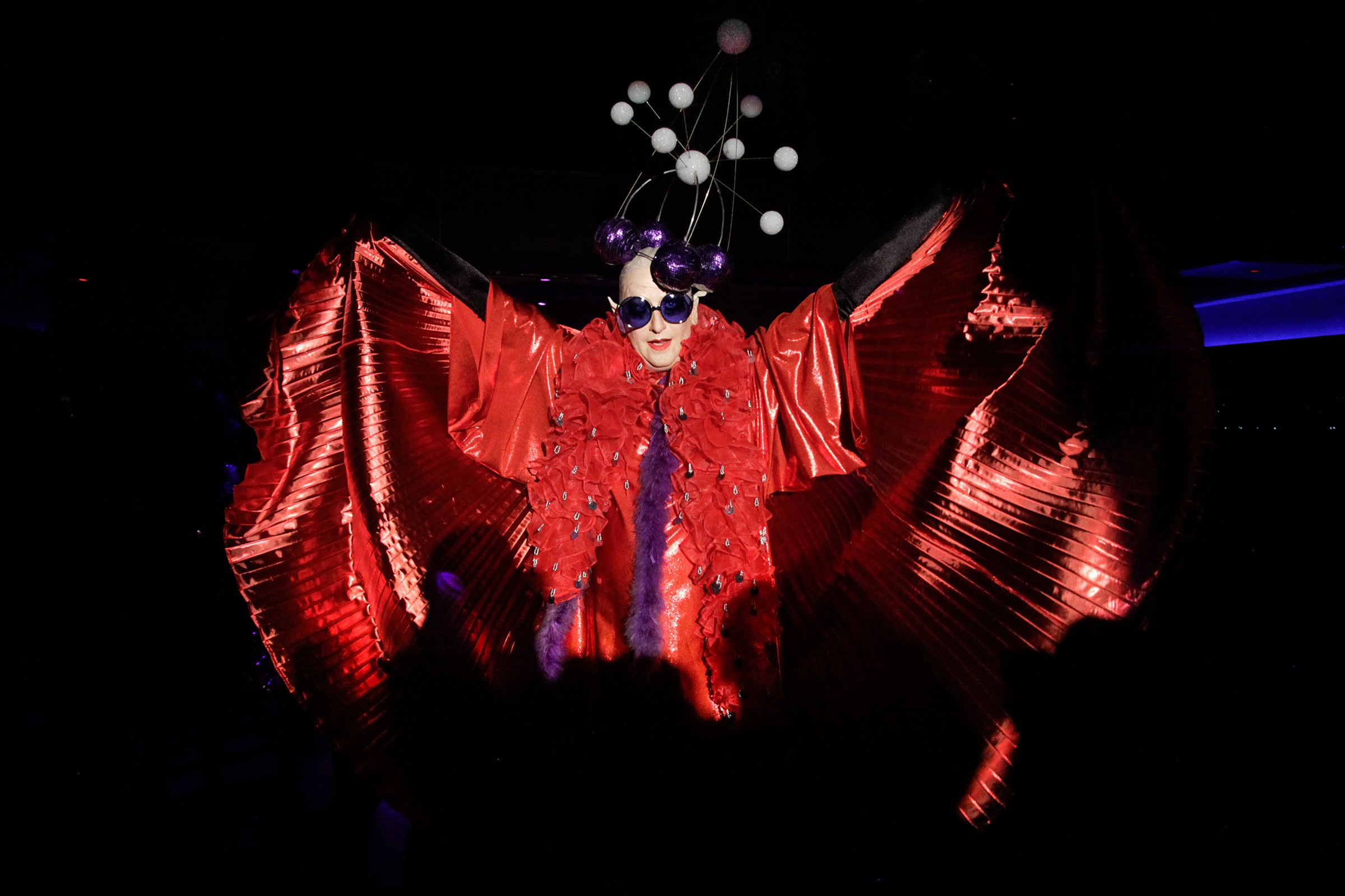 Wigstock_15-7811_web.jpg