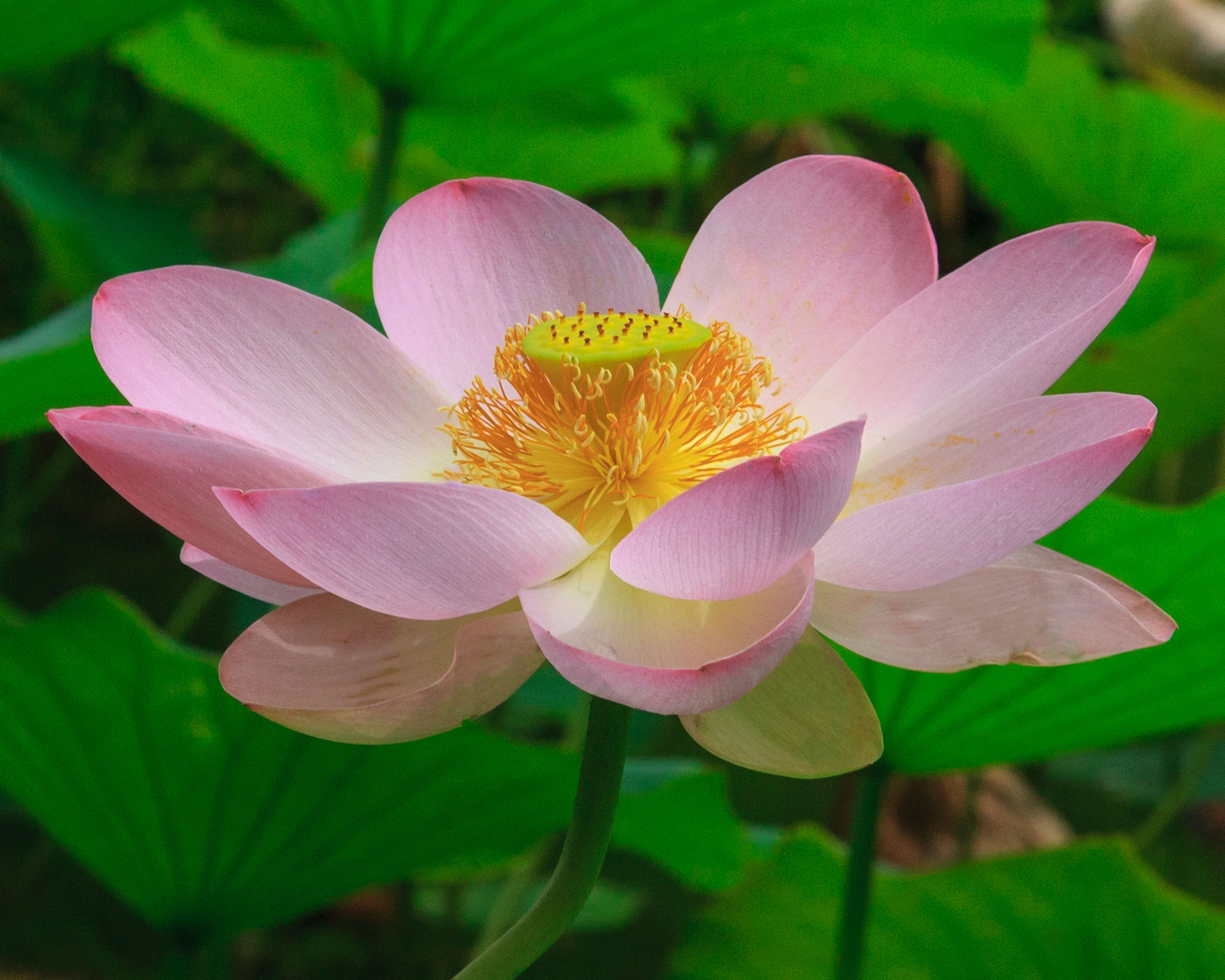 2GTQbgiNyrLLfWFH1ZfTkpKaAHiekAdH62F7fZv (3).jpeg