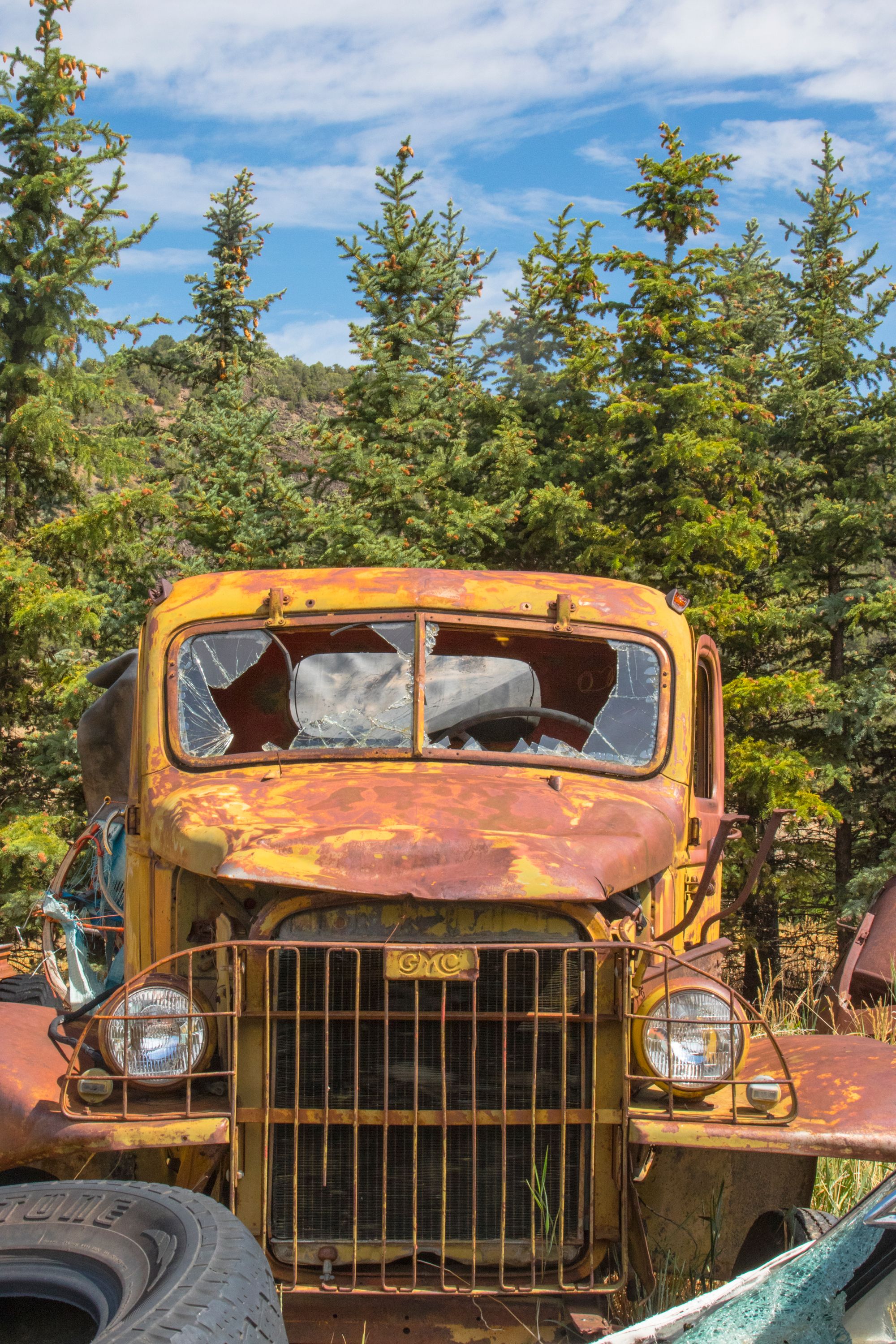 2GTQbgiNyrLLfWFH1ZfTkpKaAHiekAdH62F7fZv (8).jpeg