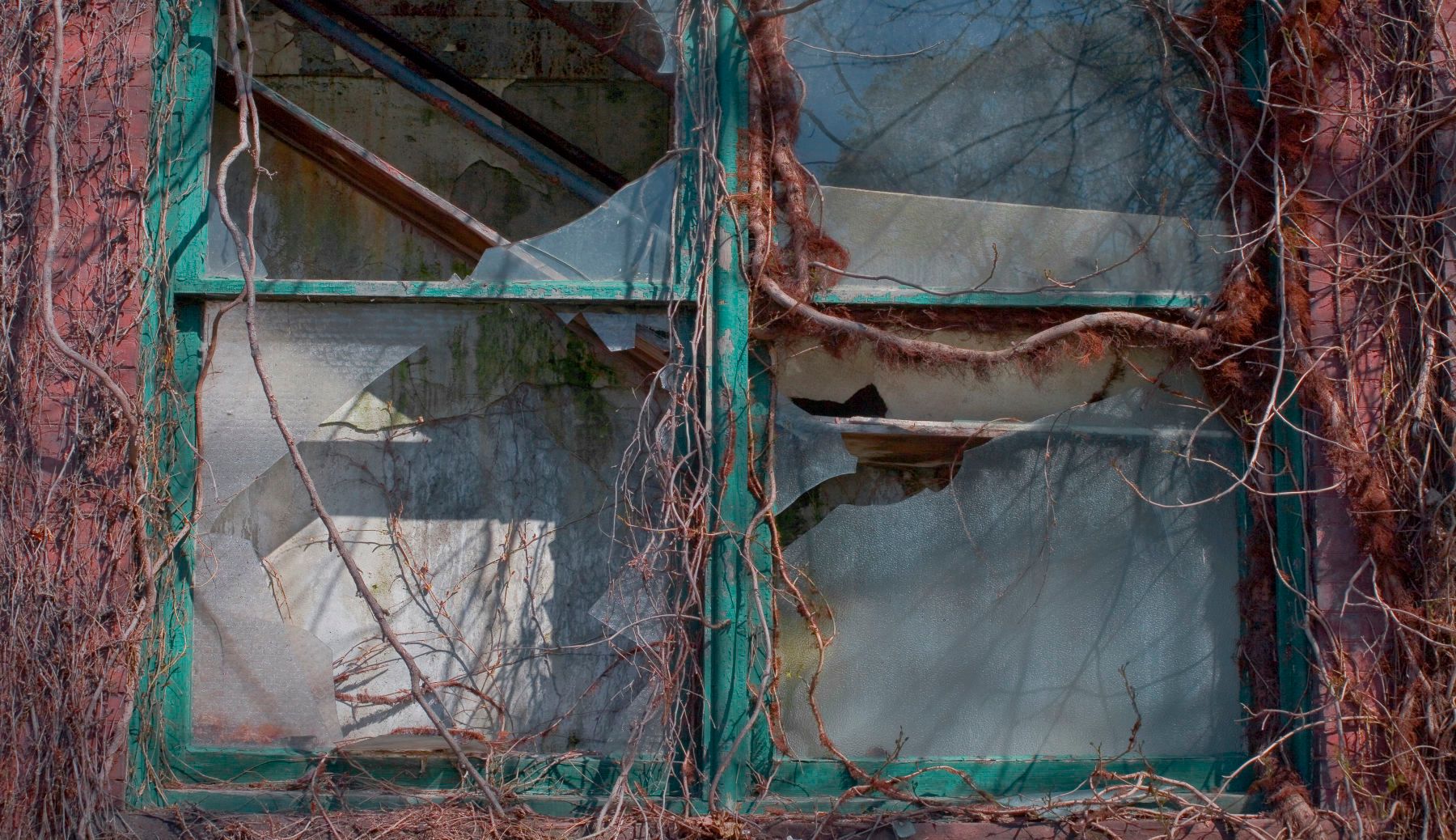 1r8x13_4863_capewellwindows