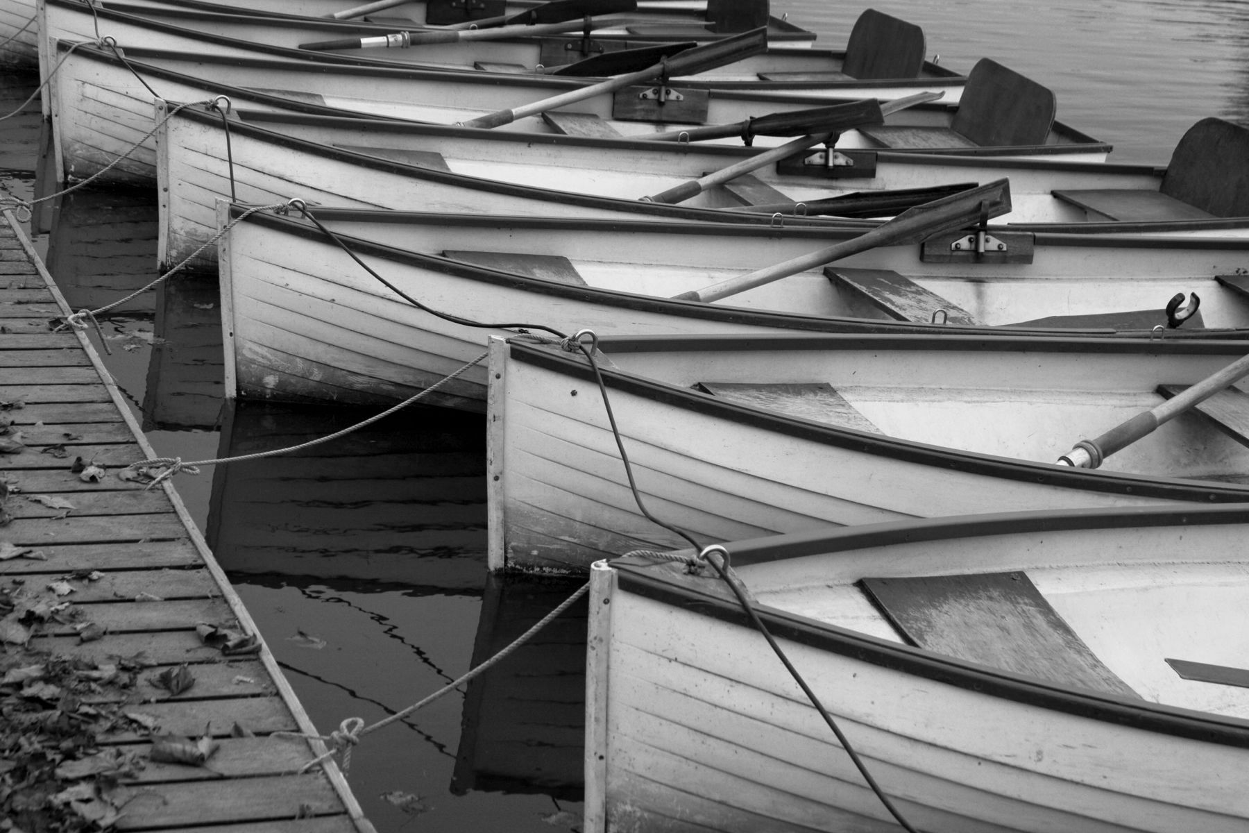 1versailles_rowboats