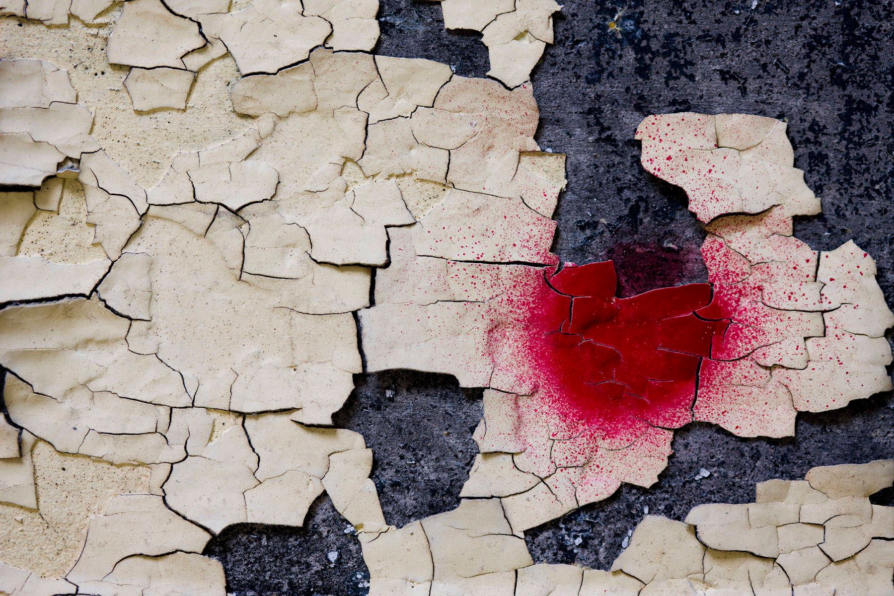 1r8x12_5364_millwallart_8_2j8z2458