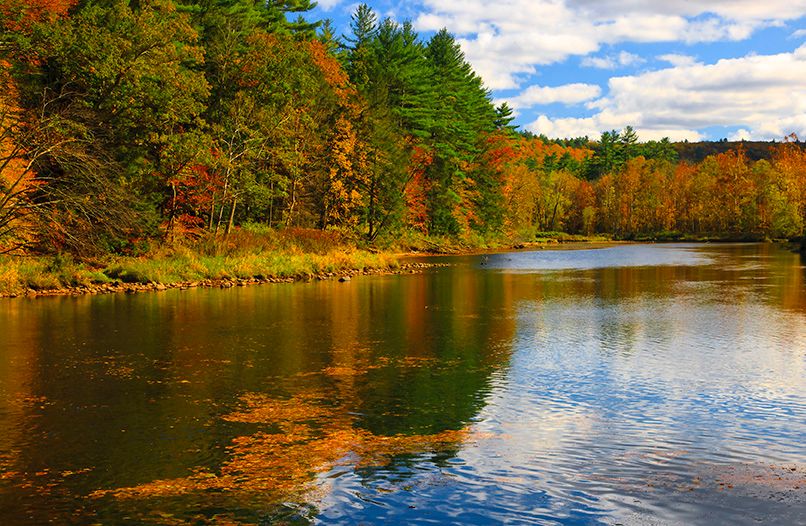 2GTQbgiNyrLLfWFH1ZfTkpKaAHiekAdH62F7fZv (16).jpeg