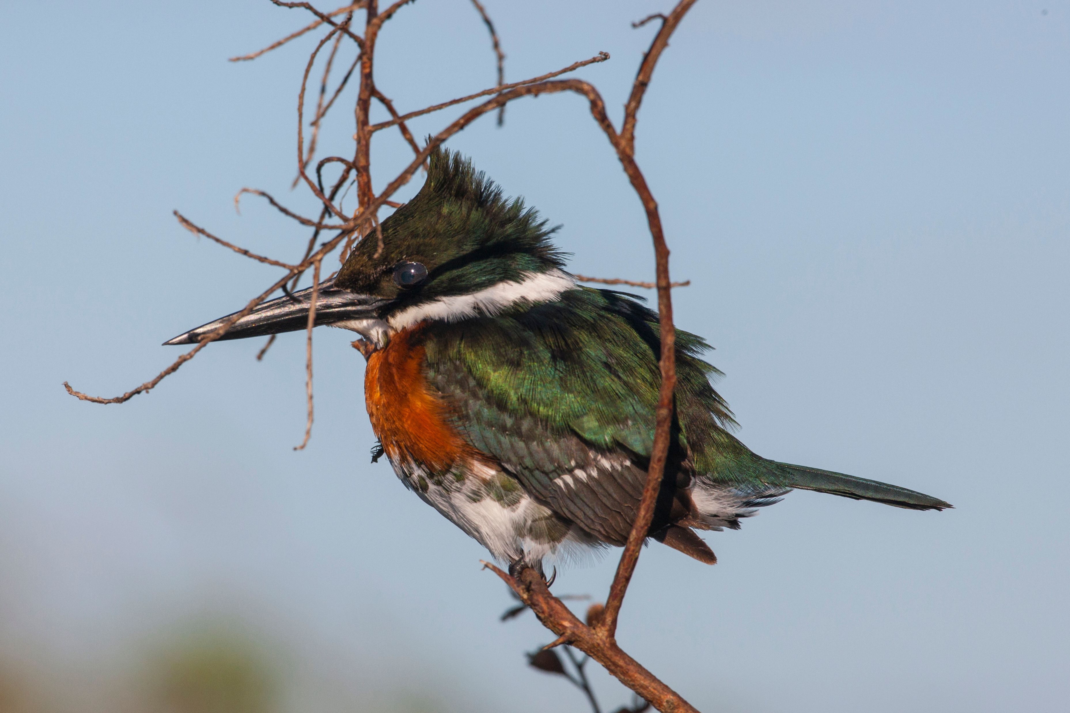 2GTQbgiNyrLLfWFH1ZfTkpKaAHiekAdH62F7fZv (17).jpeg