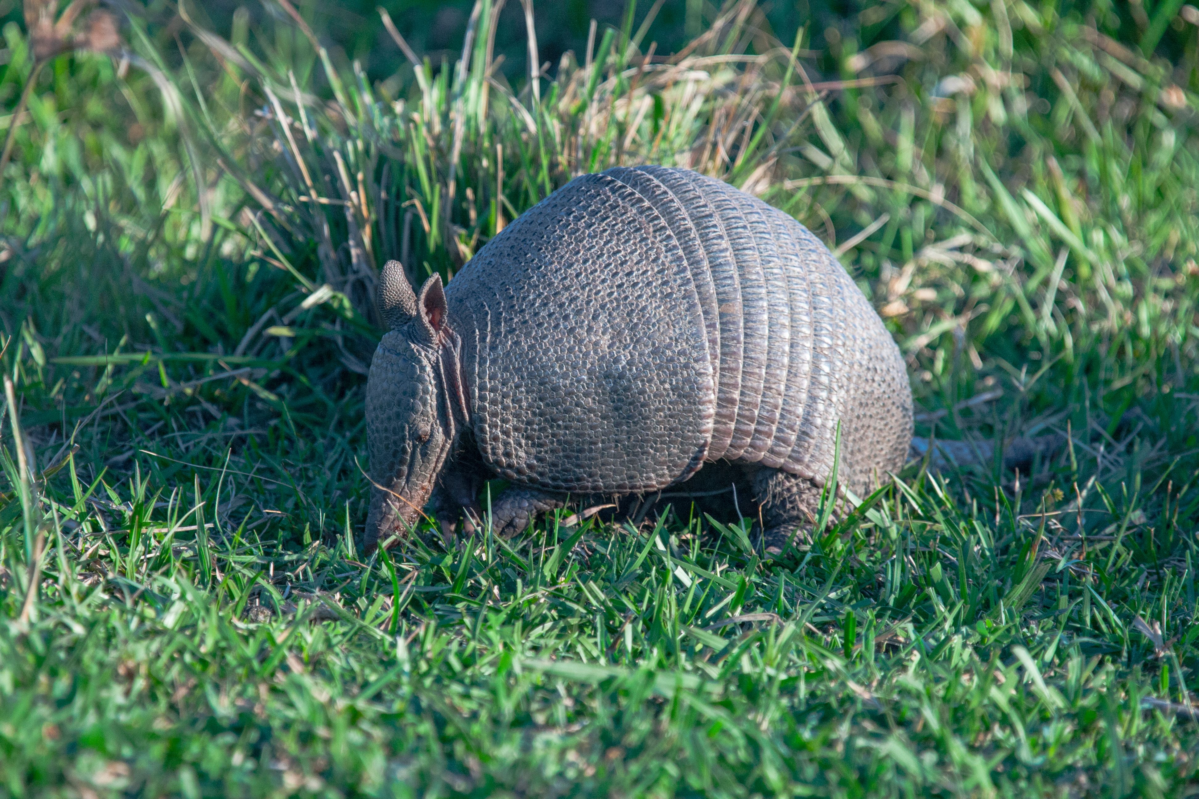 2GTQbgiNyrLLfWFH1ZfTkpKaAHiekAdH62F7fZv (15).jpeg