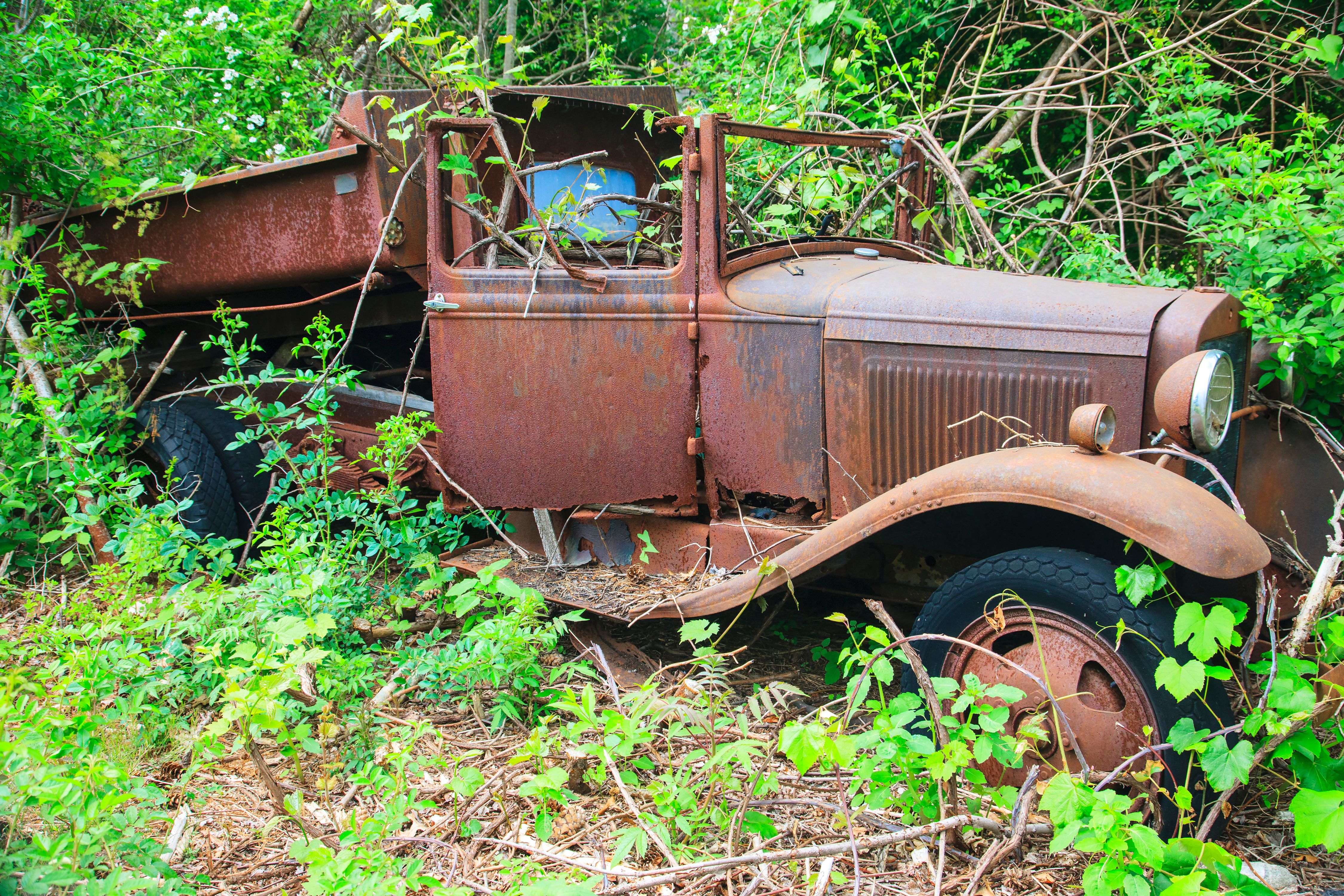 2GTQbgiNyrLLfWFH1ZfTkpKaAHiekAdH62F7fZv (1).jpeg