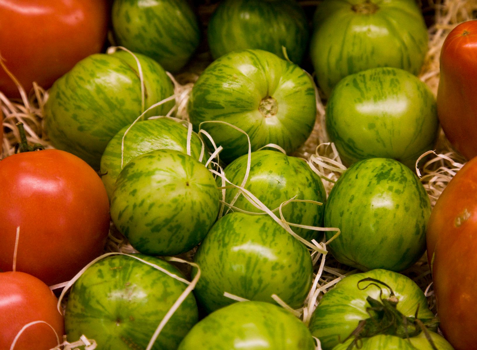 1r8x11_5447_greentomatoes_2j8z6530_2