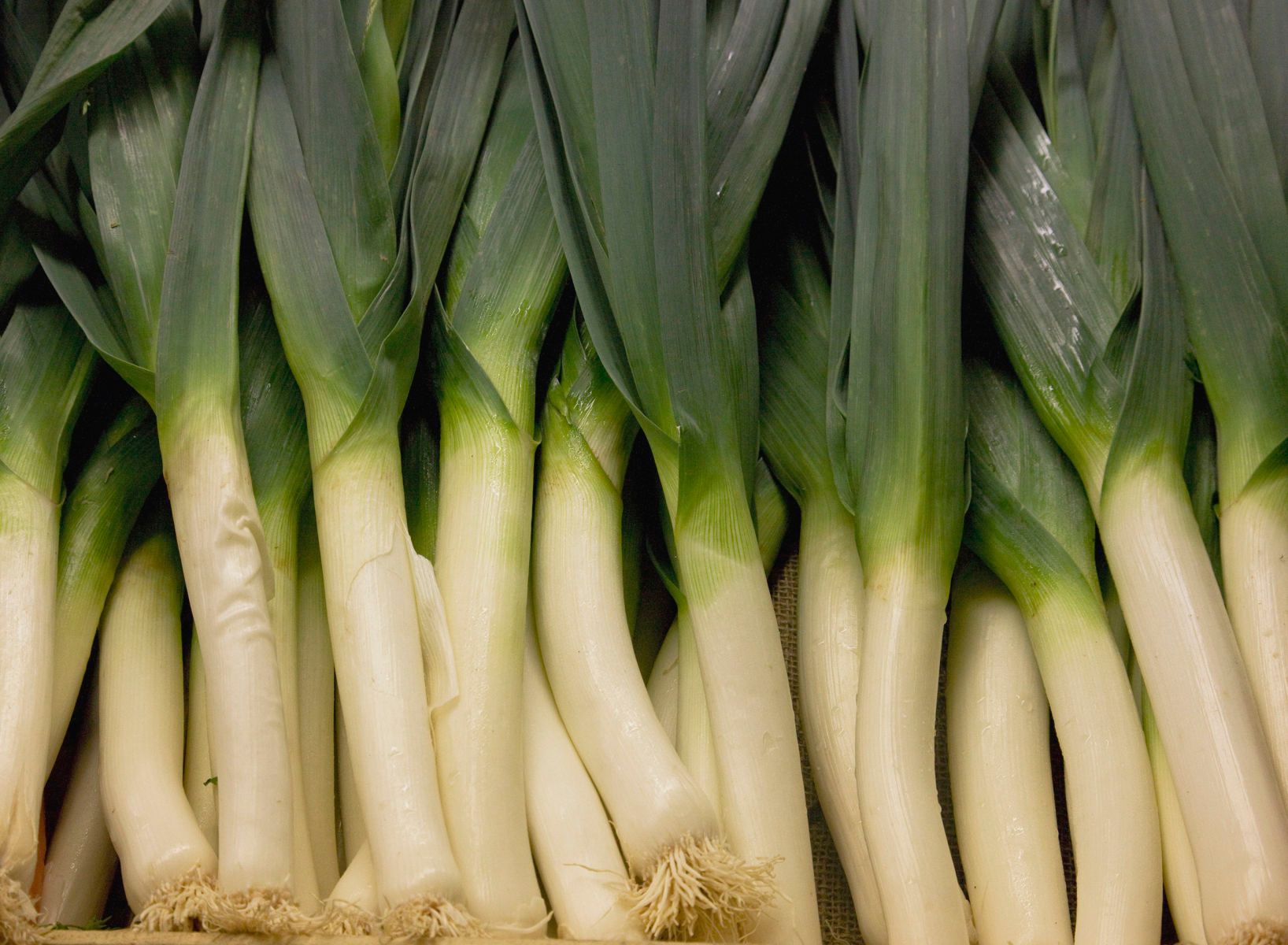 1r8x12_5451_leeks_2j8z6533