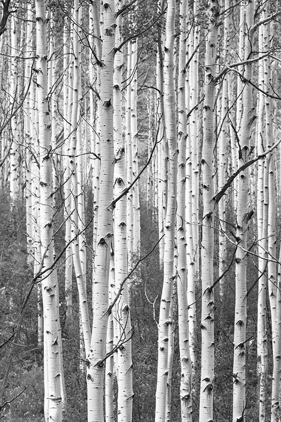 2GTQbgiNyrLLfWFH1ZfTkpKaAHiekAdH62F7fZv (5).jpeg