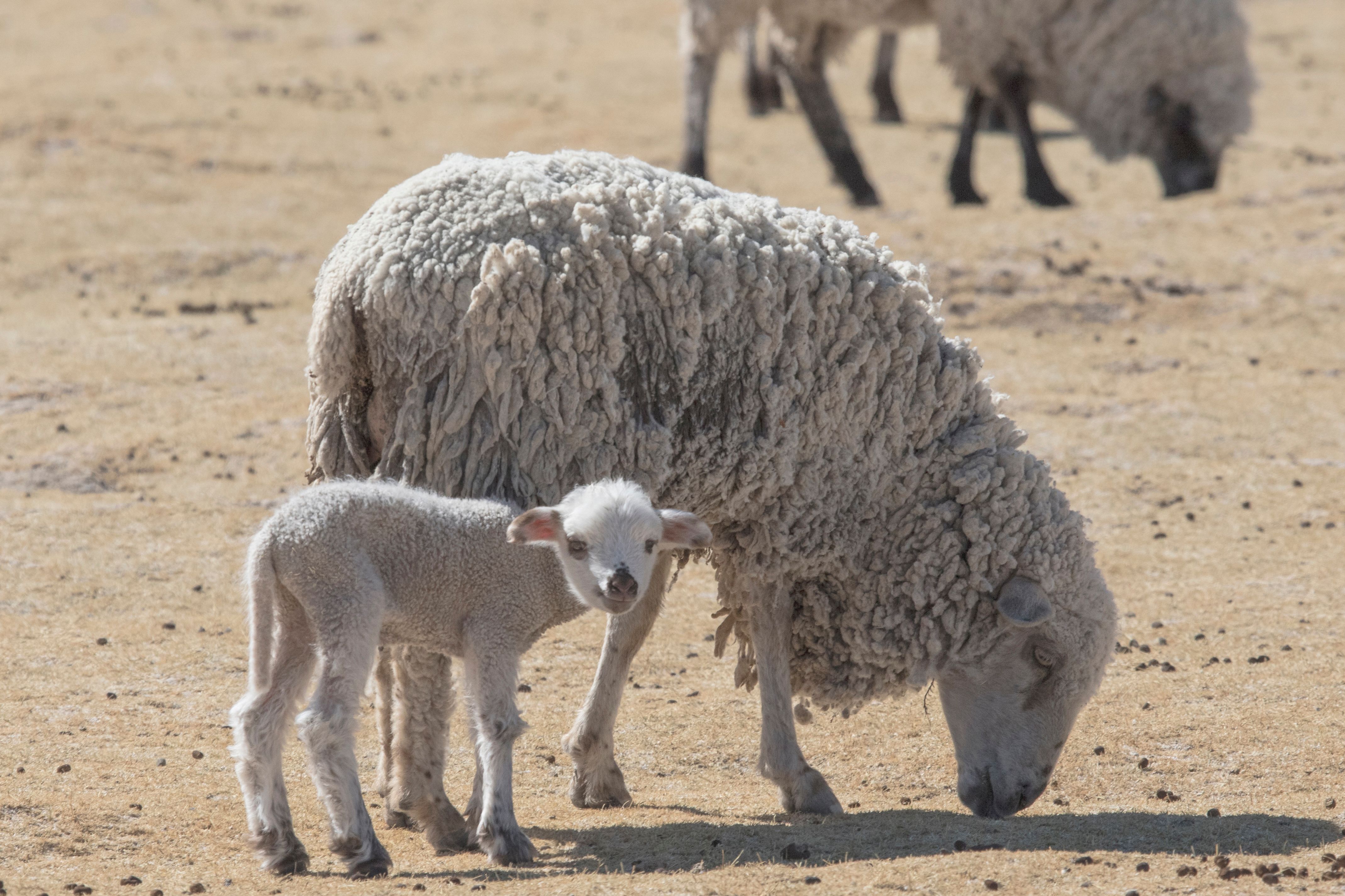 2GTQbgiNyrLLfWFH1ZfTkpKaAHiekAdH62F7fZv (19).jpeg