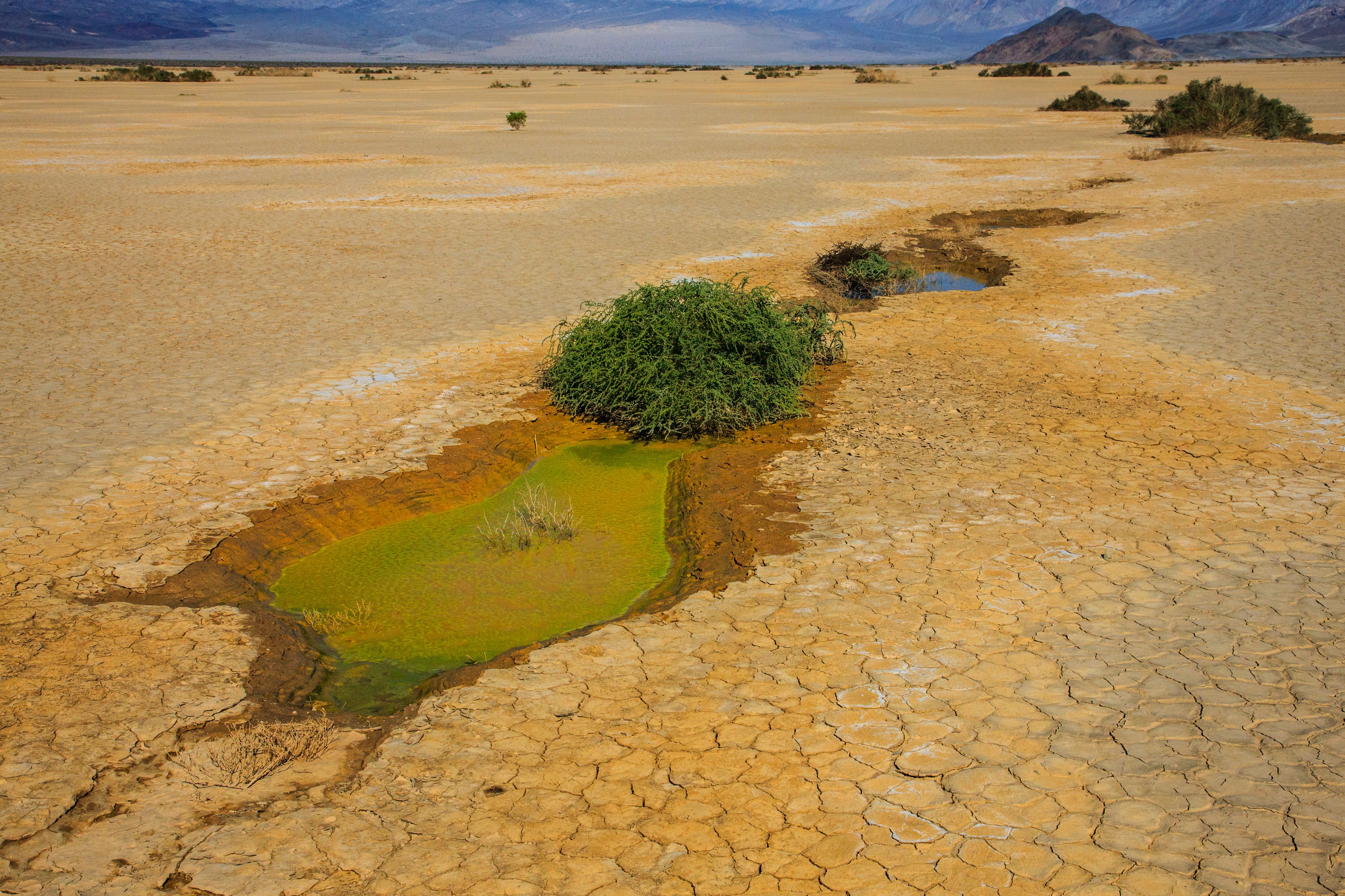 2GTQbgiNyrLLfWFH1ZfTkpKaAHiekAdH62F7fZv (9).jpeg